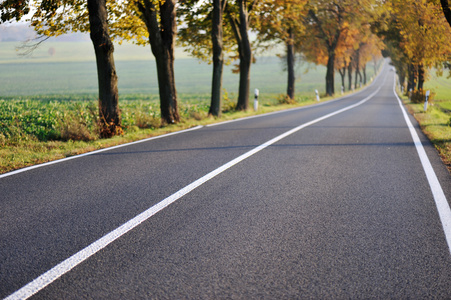 在早晨的乡村道路