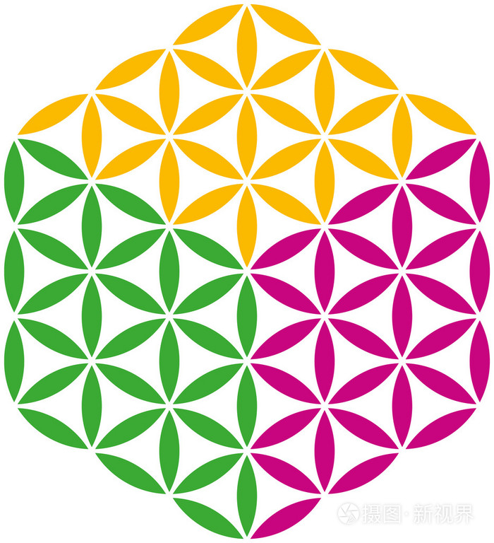 摄图新视界 插画 矢量图 多维数据集的生命之花.eps