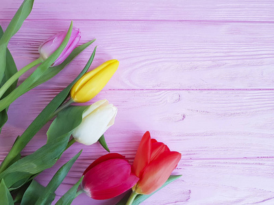 美丽的花束, 彩色的郁金香在粉红色的木制文字空间