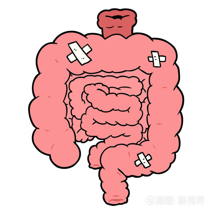 卡通肠的矢量图解