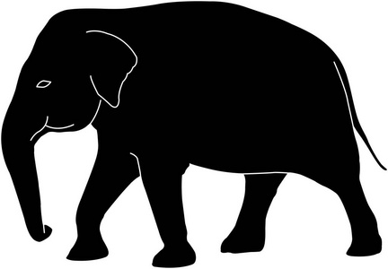 与白色轮廓的大象剪影向量照片