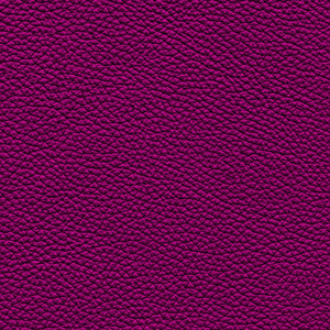 紫癜皮革