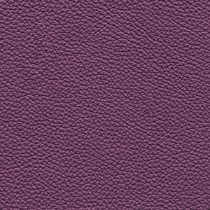 紫皮