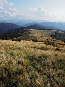 Carpatian 山村庄在绿色森林