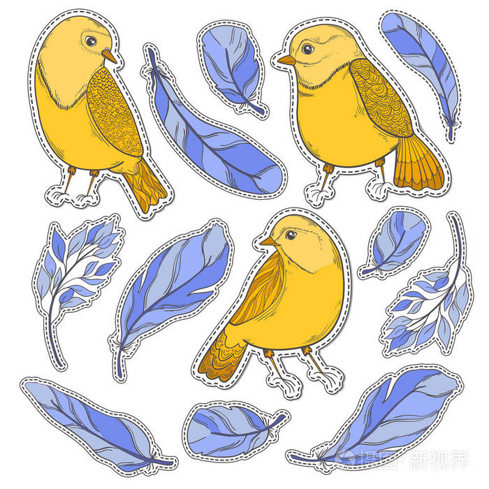 时尚矢量贴纸补丁鸟和羽毛.手绘例证