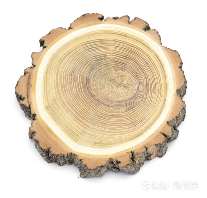 一条代表砍树剖面的木片