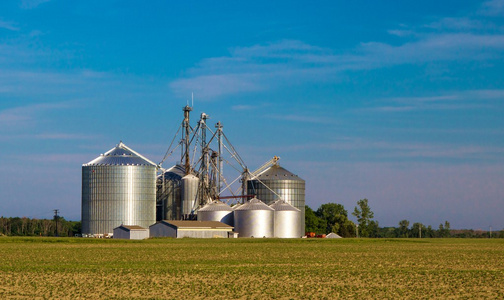 玉米粮仓图片-玉米粮仓素材-玉米粮仓插画-摄图新视界