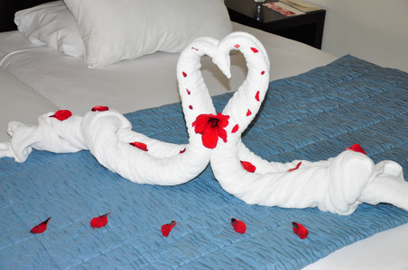 拧毛巾毛巾天鹅照片