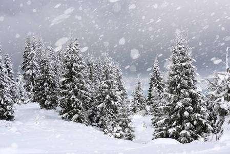 冬季雪景图片大全下雪图片