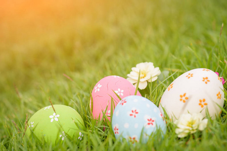 复活节快乐特写五颜六色的复活节彩蛋巢