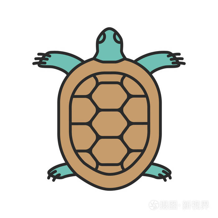 在白色背景下分离的龟彩色图标