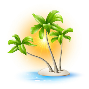 棕榈树的岛屿