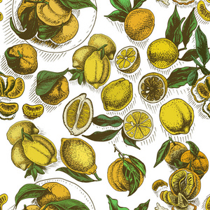 柠檬和杏的矢量插图素描, 有机商店横幅