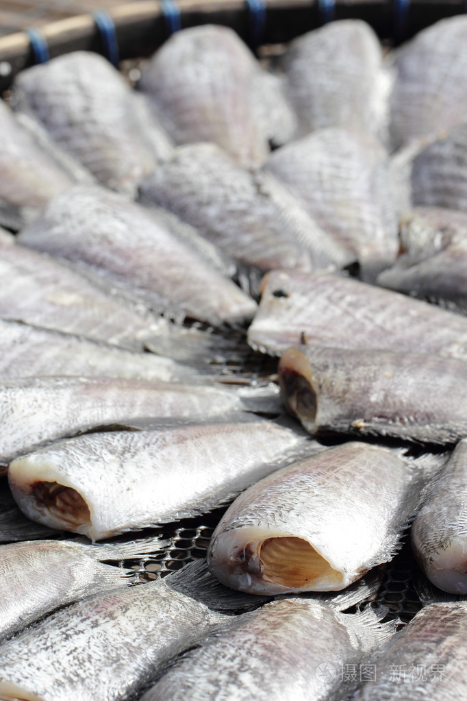 在外部干燥的蛇皮鱼鱼