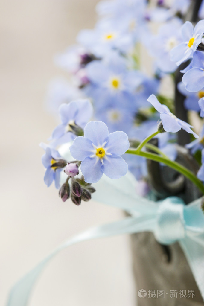 勿忘我花的花束