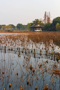 中国杭州西湖近水传统住宅