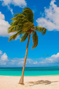 奥尔金, 古巴, 海滩的埃斯梅拉达。美丽的加勒比海绿松石蓝颜色和棕榈树在海滩上