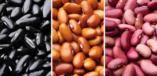 不同类型的豆子拼贴画。品种的豆类。顶部视图。特写. 纹理