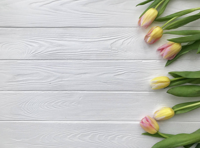 可爱的郁金香花, 白色的木制背景, 节日明信片妇女节或母亲节。花卉弹簧背景与复制空间。平躺