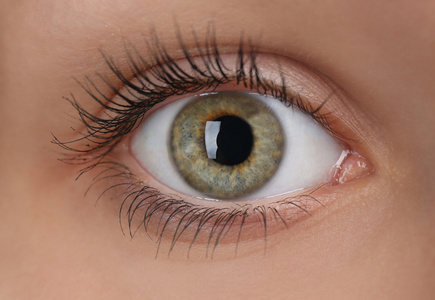 监视眼美丽的眼睛特写照片