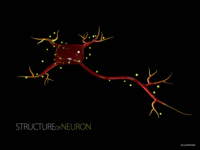 3d. 神经元细胞的图示, 高分辨率3d 图示孤立黑色