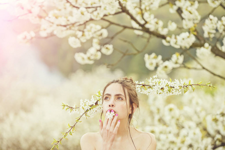 美丽的女人享受开花春天花园里的气味