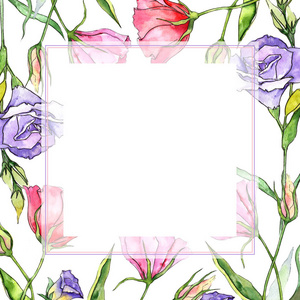 桔梗花卉图案手工绘制的插图桔梗花牡丹和桔梗的香味桔梗花的黑色剪影