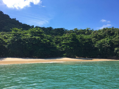 野生和荒芜的海滩