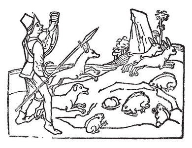 动物线条画图片