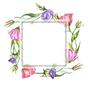 手绘桔梗设置插花,花束.