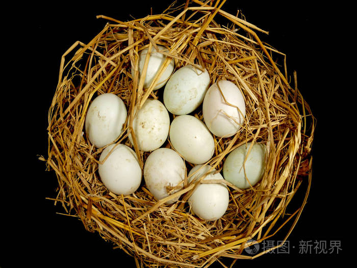 鸭子蛋在稻草里