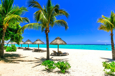 休闲热带假期毛里求斯白沙海滩椅子和遮阳伞
