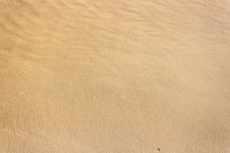 清湿沙滩纹理背景