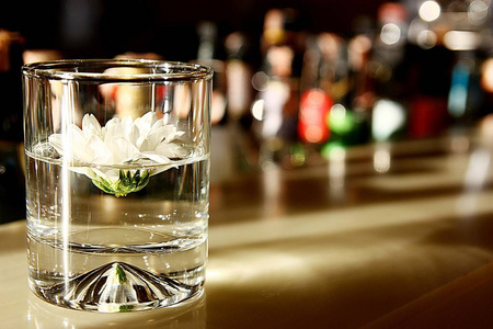 美丽的白色雏菊在一杯饮用水