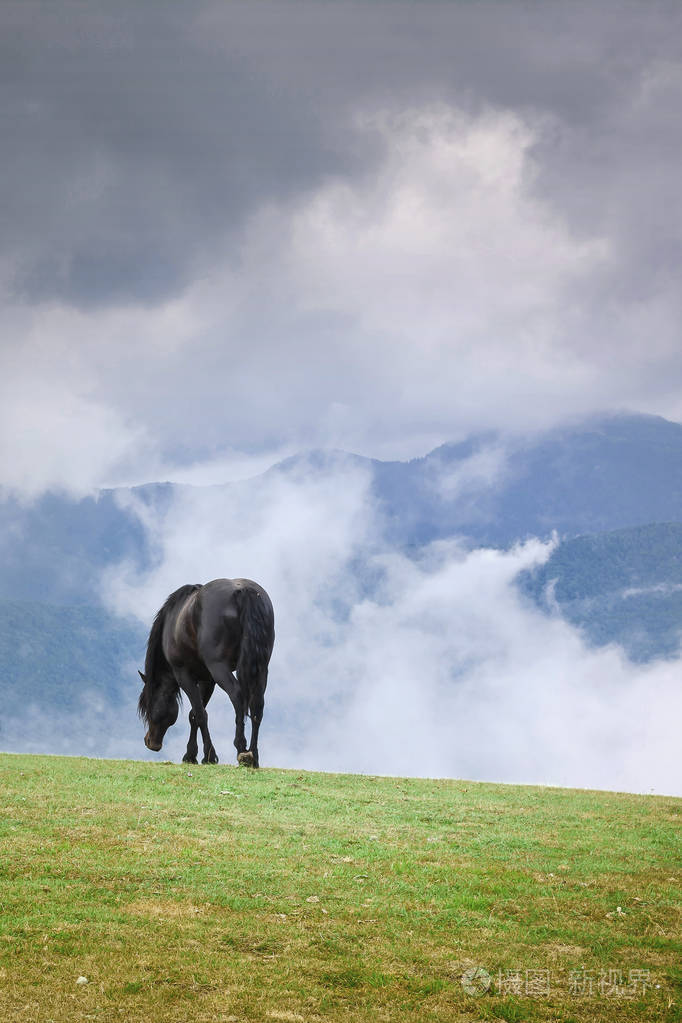 山上多云的天空意大利山脉的风景在白云的背景下马在山上放牧