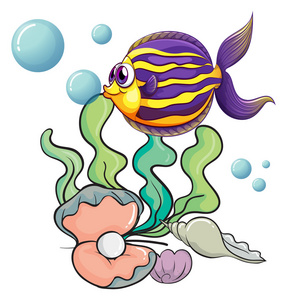 在海底的生物照片