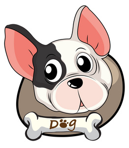 一名团长一只斗牛犬照片