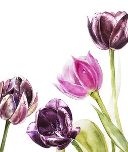 植物空白为文本。水彩郁金香花。完美的邀请, 婚礼或贺卡
