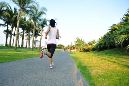 跑步运动员在热带公园运行