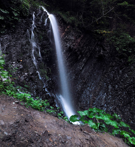 在 carpatian 山的瀑布在绿色的雨松林