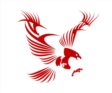 猎鹰.风格的伟大的红鹰照片