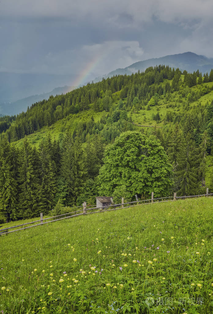 山地景观与森林丘陵阴天的美丽夏日风光