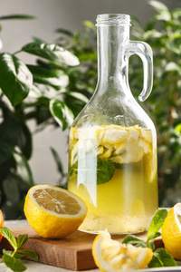 柑橘柠檬水与冰块在老式图。夏日饮品 Limoncello