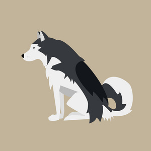 向量例证与坐在黑白狗。北欧品种阿拉斯加爱斯基摩
