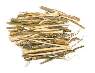 柳树图片简笔画图片