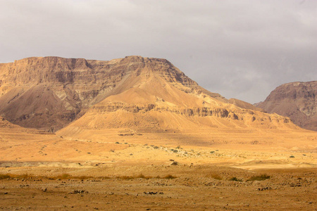 以色列南沙漠的景观图片