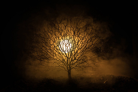 恐怖恐怖树与僵尸和恶魔面孔照片