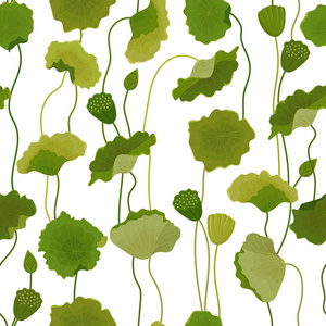 水和花荷叶上抽象青蛙彩色玻璃样式插图特写绿色荷叶纹理和背景鲜花和