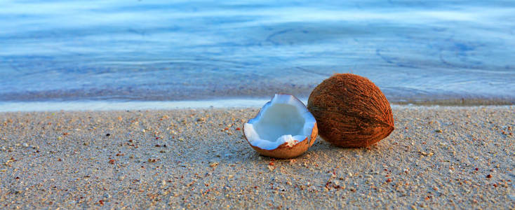 加勒比海滩椰子