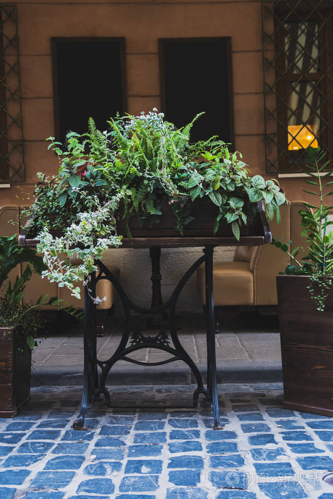 用绿色植物装饰的街道咖啡馆